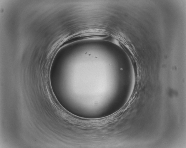 X0000070880001200606191327