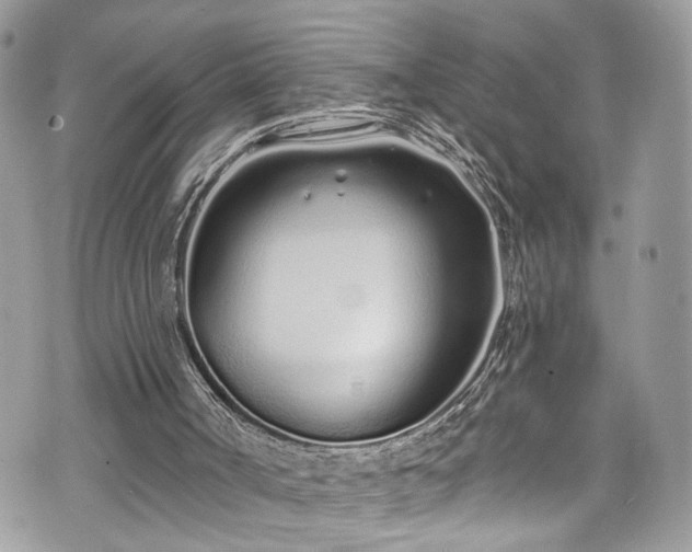 X0000070880002200606191327