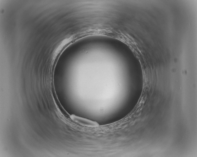 X0000070880003200606191327