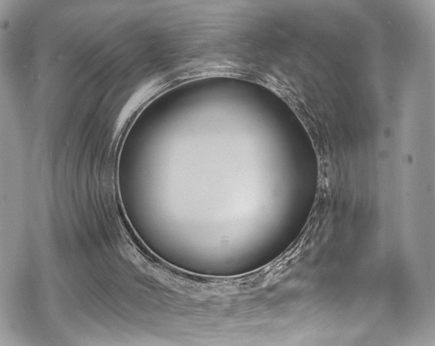 X0000070880004200606191327