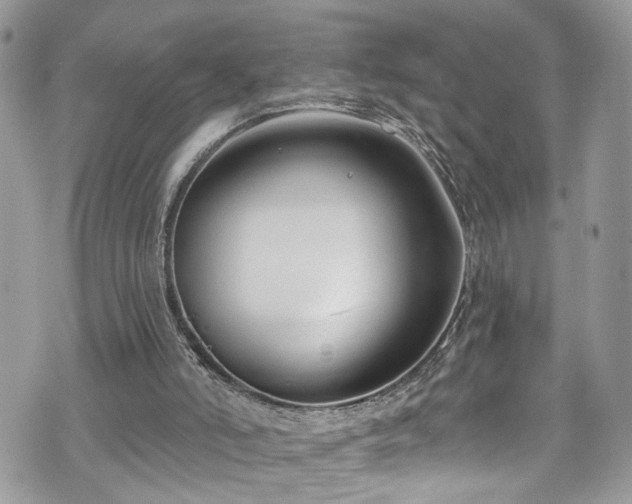 X0000070880006200606191327