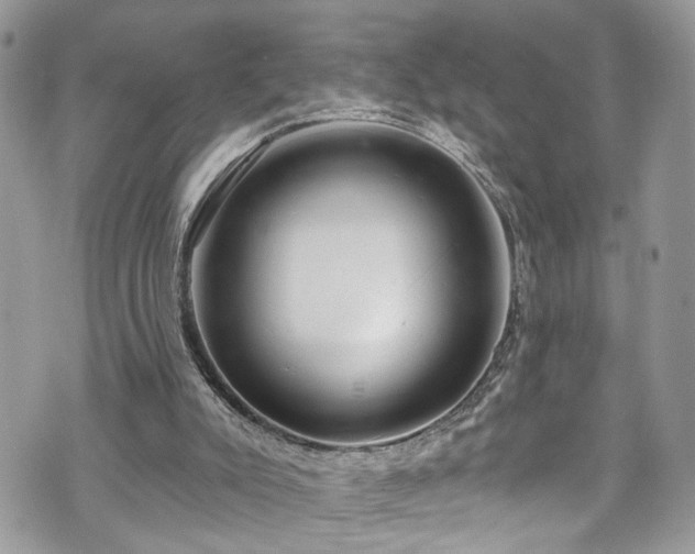 X0000070880007200606191327