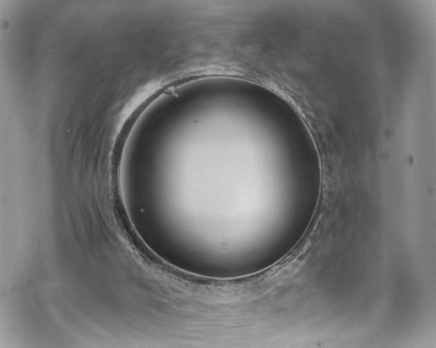 X0000070880008200606191327