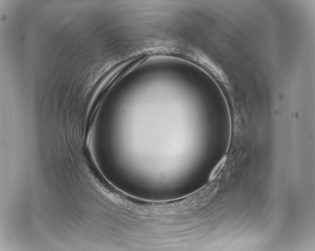 X0000070880009200606191327