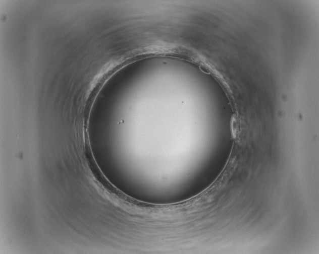 X0000070880011200606191327