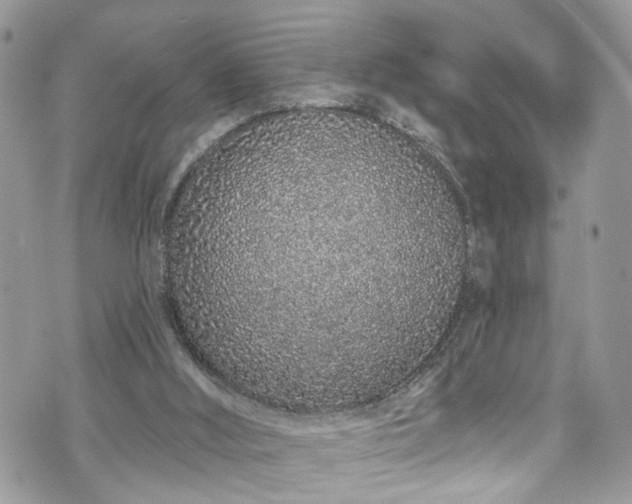 X0000070880012200606191327