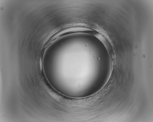 X0000070880013200606191327