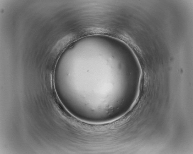 X0000070880014200606191327