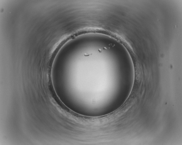 X0000070880015200606191327