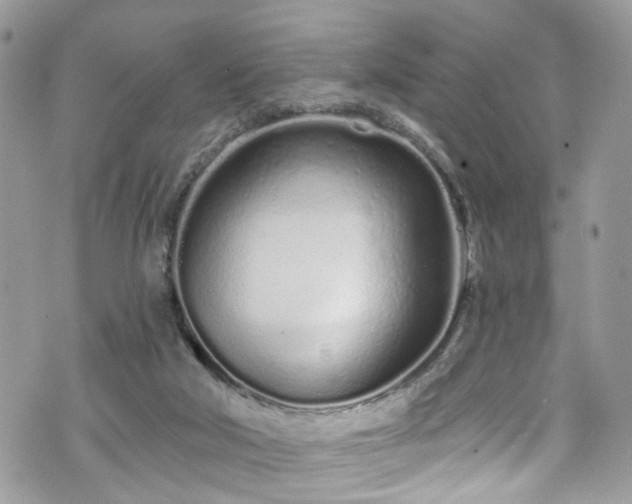 X0000070880018200606191327