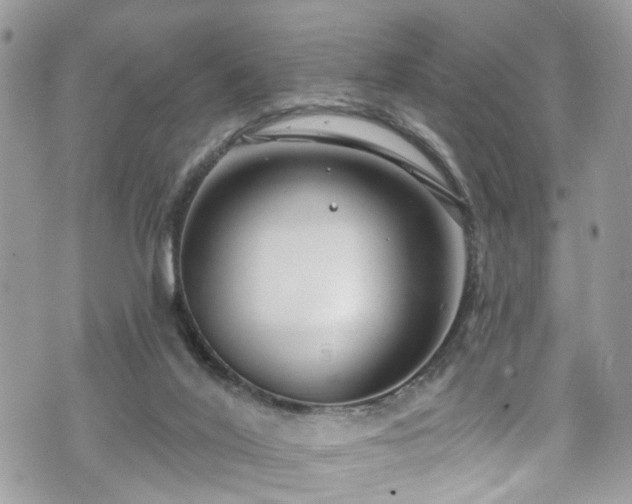 X0000070880020200606191326