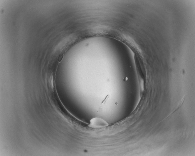 X0000070880021200606191326