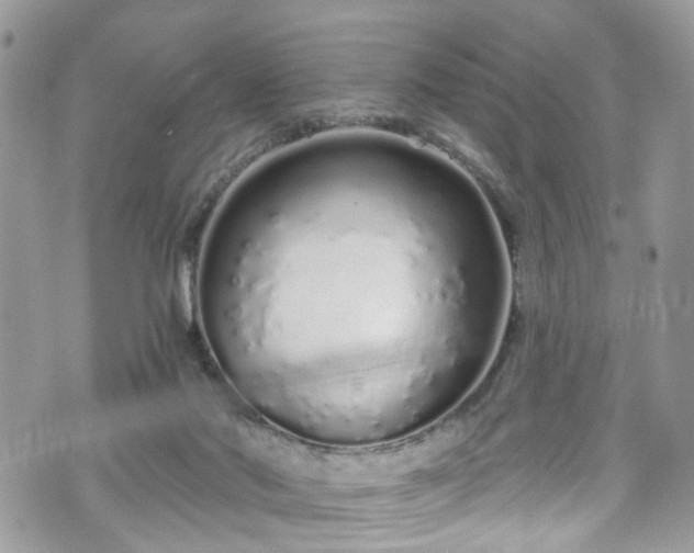 X0000070880022200606191326