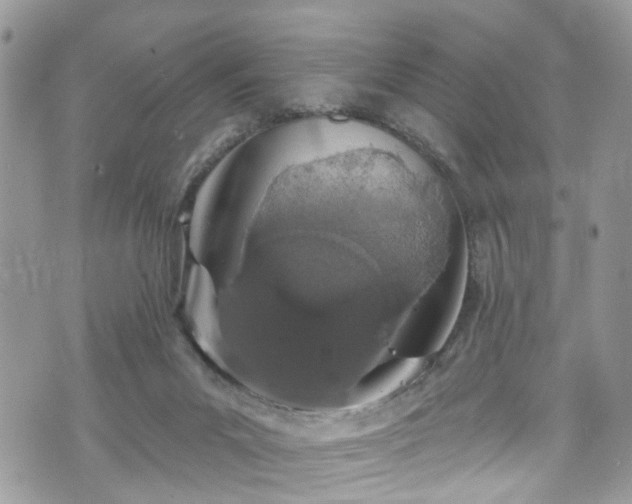 X0000070880023200606191326