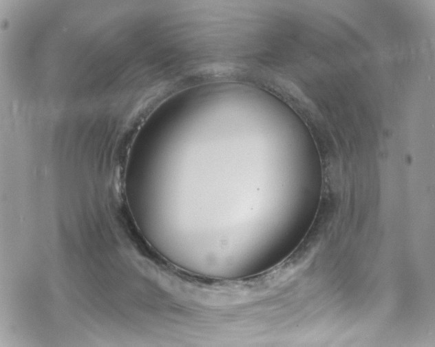 X0000070880024200606191326