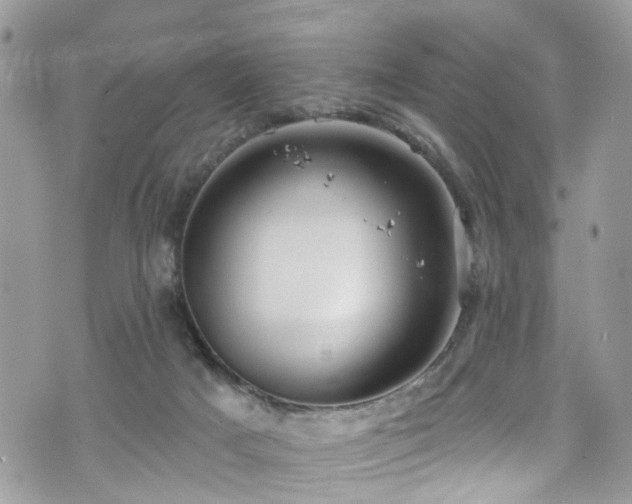 X0000070880025200606191326