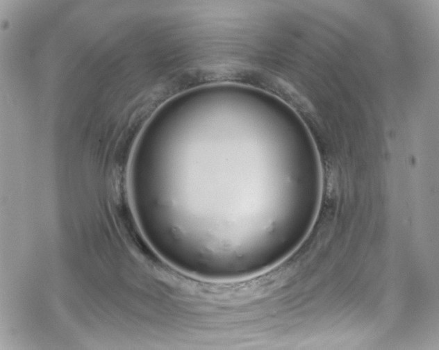 X0000070880026200606191326