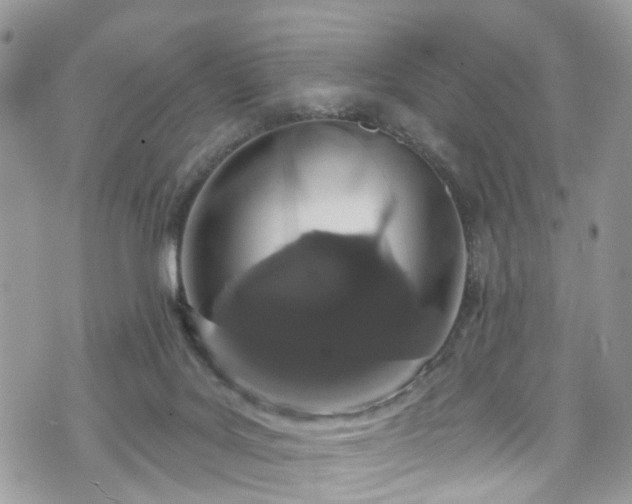 X0000070880027200606191326