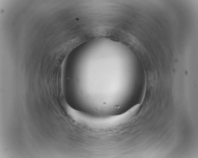 X0000070880029200606191326