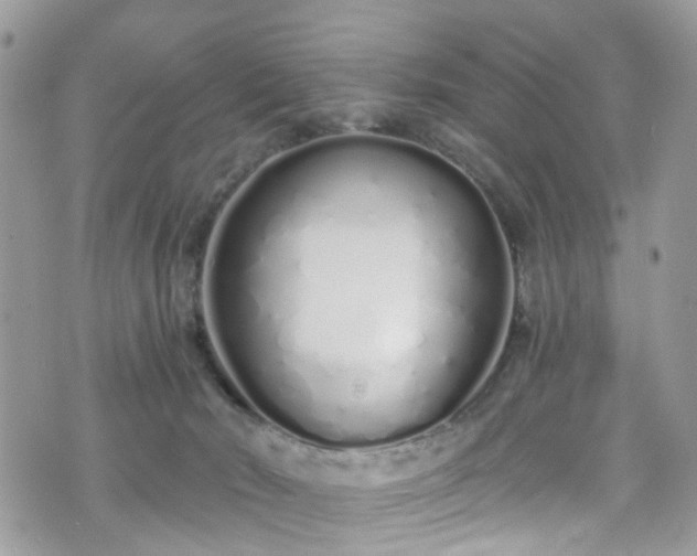 X0000070880030200606191326