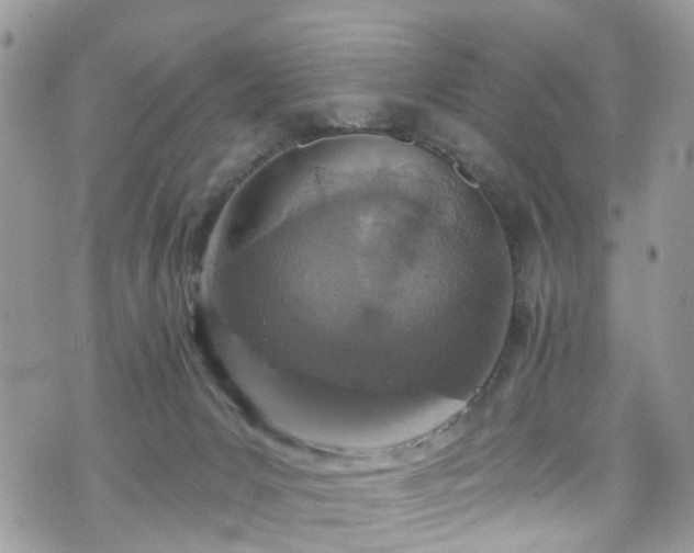 X0000070880031200606191326