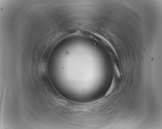 X0000070880033200606191326