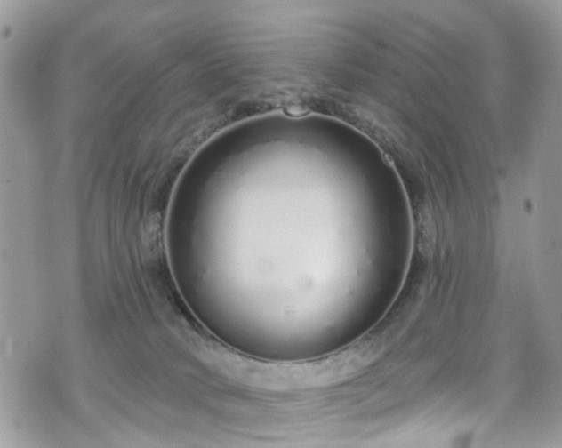 X0000070880034200606191326