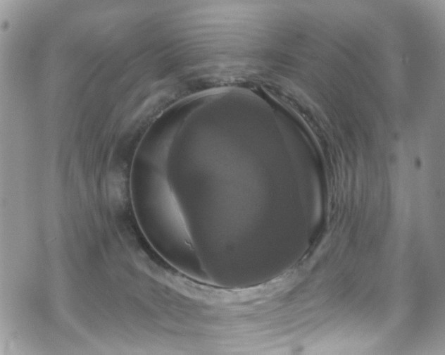 X0000070880035200606191326