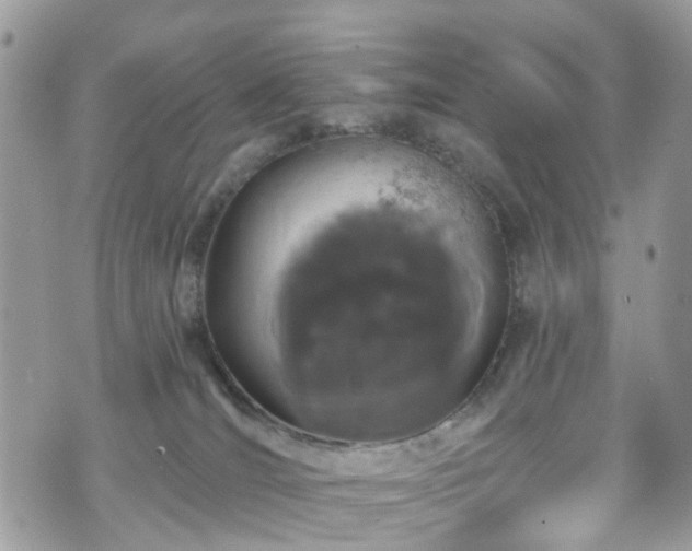 X0000070880036200606191326