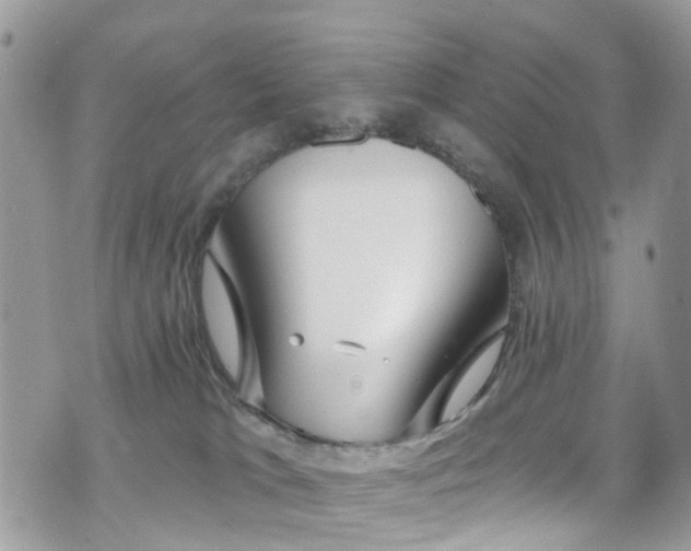 X0000070880037200606191326