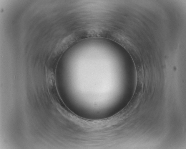 X0000070880038200606191326