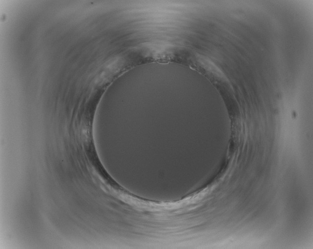 X0000070880039200606191326