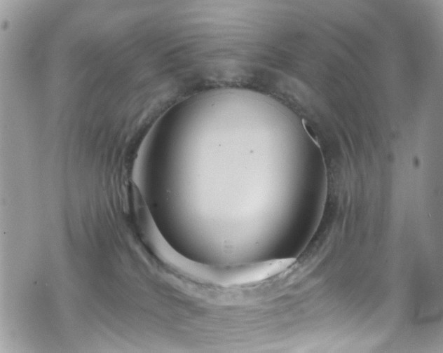 X0000070880040200606191326