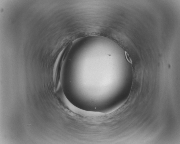 X0000070880041200606191326