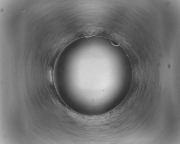 X0000070880042200606191326