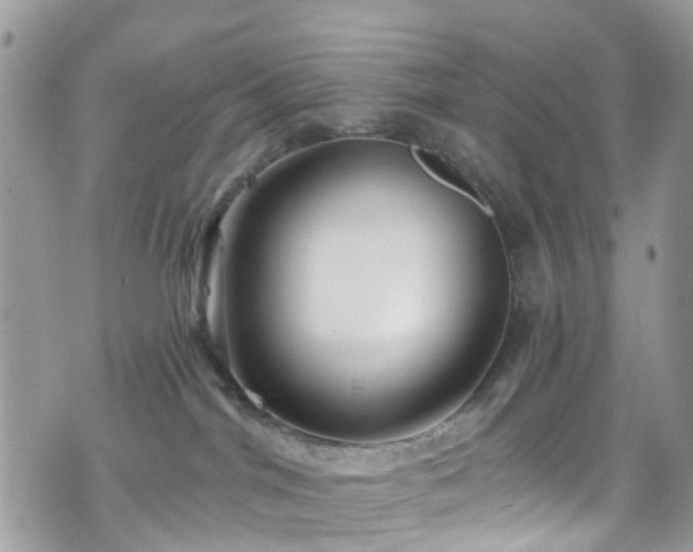 X0000070880044200606191326