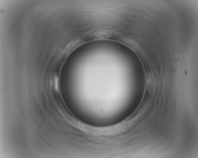 X0000070880046200606191326