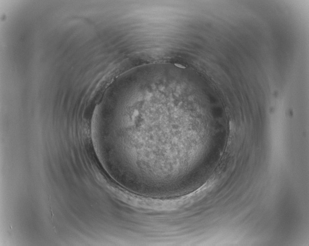 X0000070880048200606191326