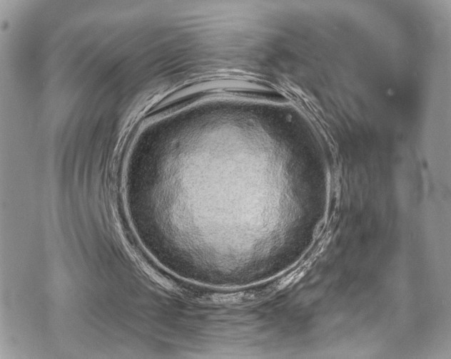 X0000070880049200606191325