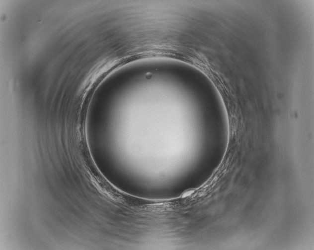 X0000070880050200606191325