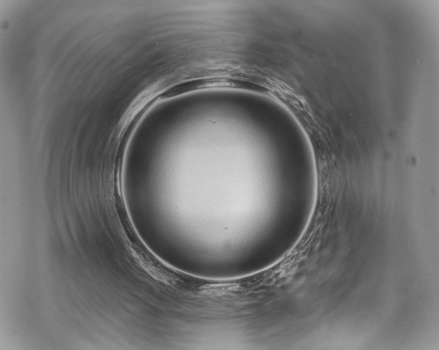 X0000070880051200606191325