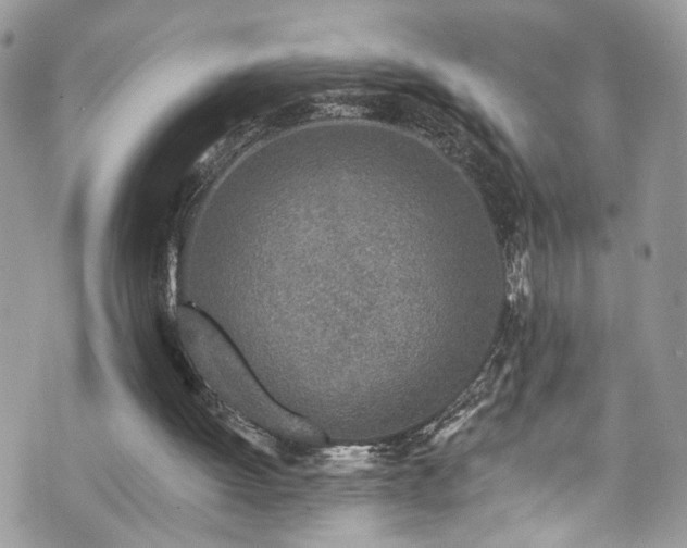 X0000070880052200606191325