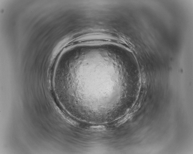 X0000070880053200606191325