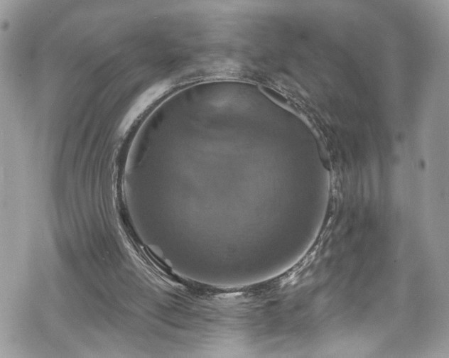 X0000070880054200606191325