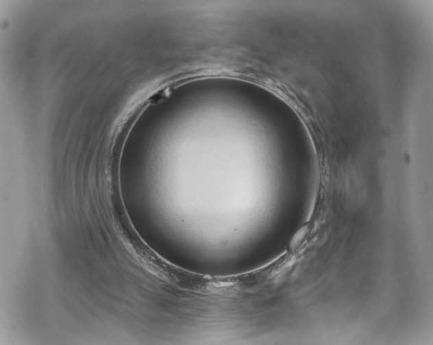 X0000070880055200606191325