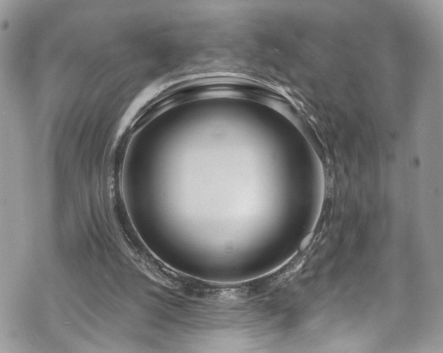 X0000070880056200606191325