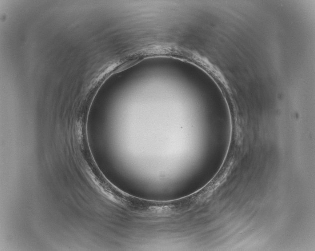 X0000070880057200606191325