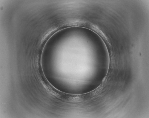 X0000070880058200606191325