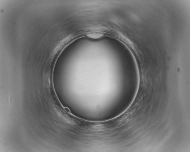 X0000070880059200606191325