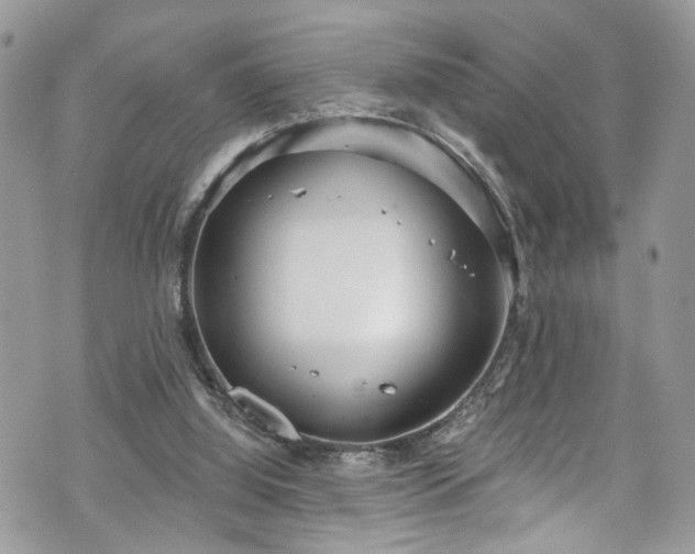 X0000070880060200606191325